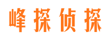 河南市私家侦探